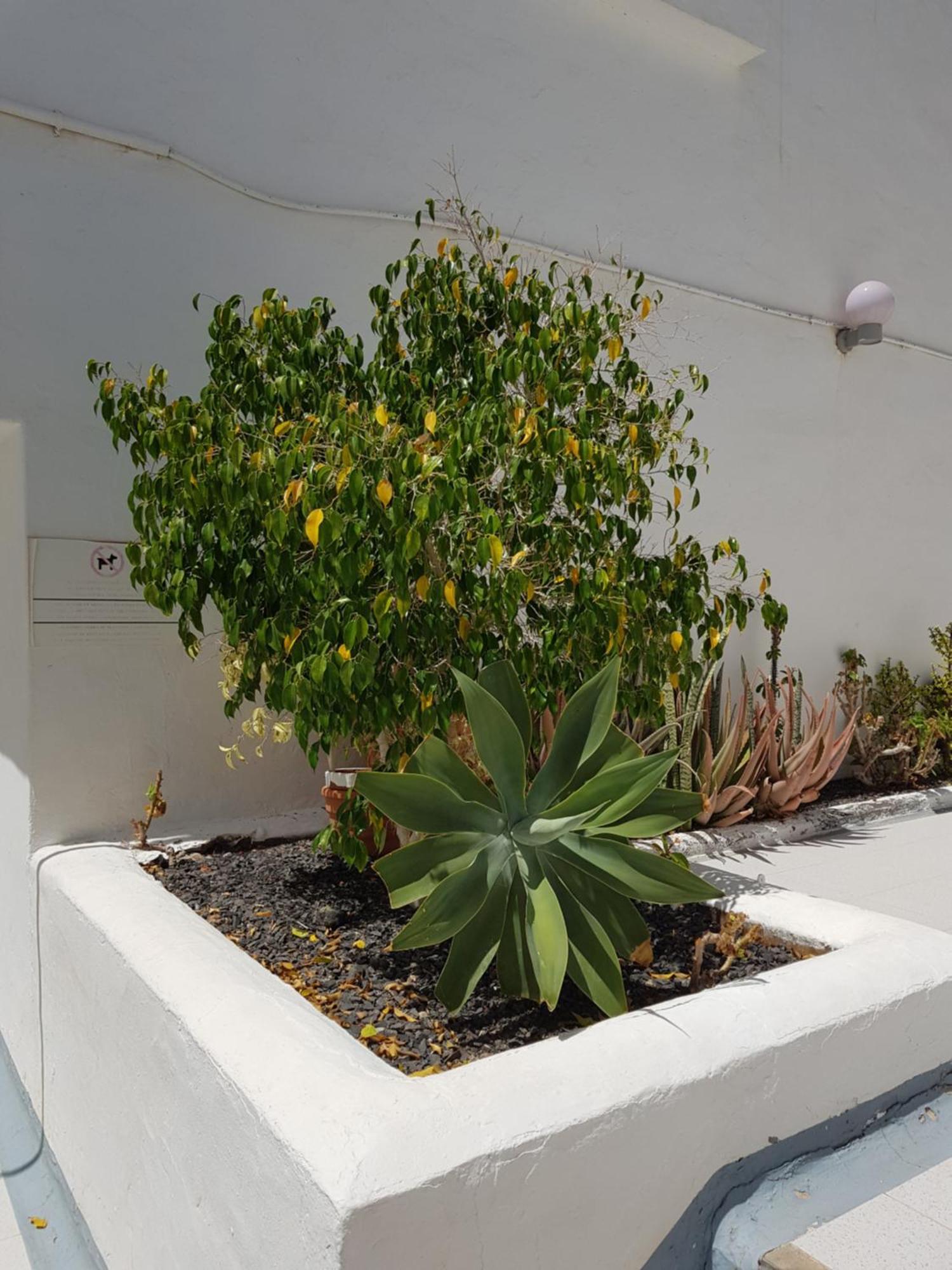 Stunning 2 Bedroom Duplex Close To Main Beach With Seaviews Puerto del Carmen  Exterior photo